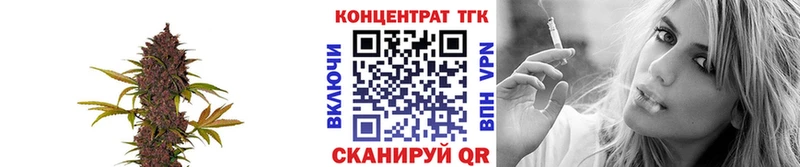 ТГК концентрат  Вытегра 