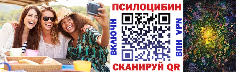 Псилоцибиновые грибы Cubensis  где купить наркотик  Вытегра 